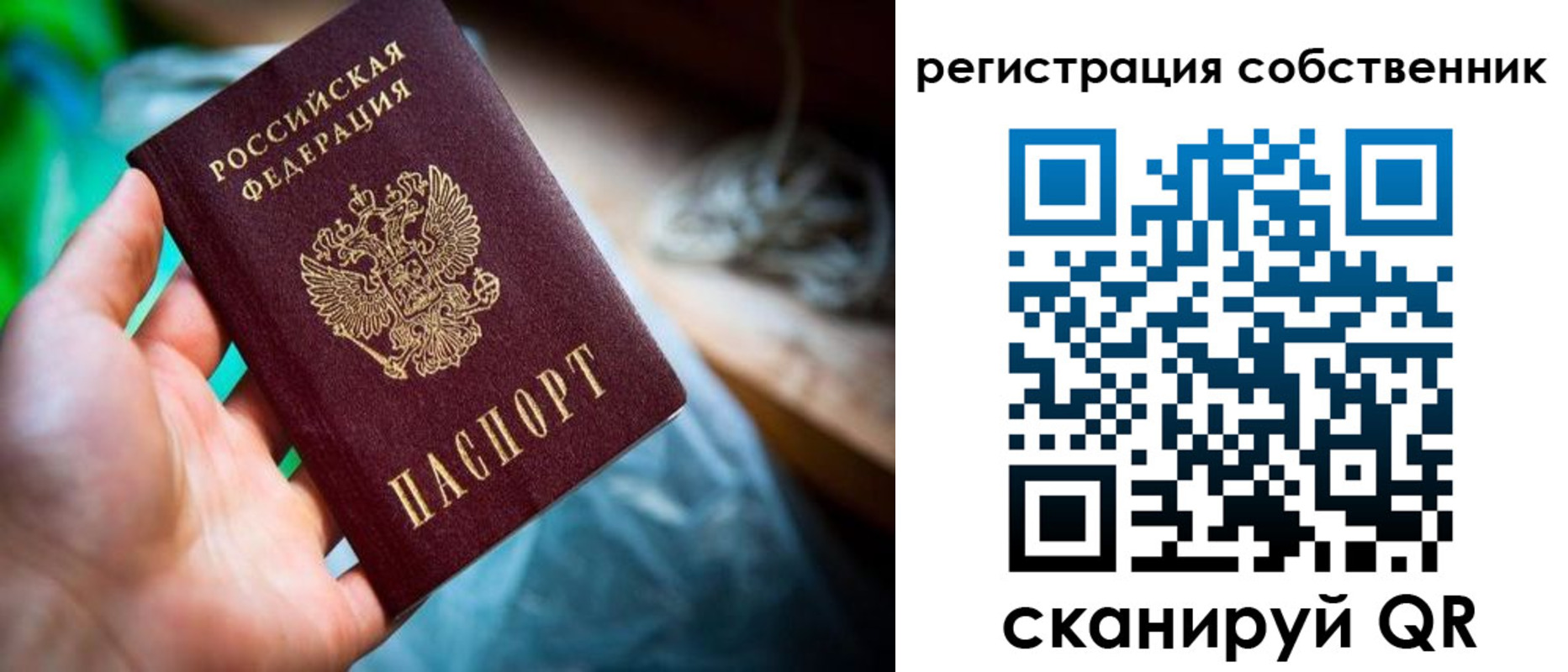 прописка гарантия в Данилове